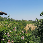 Photo n°1 de l'avis de Pietro.i fait le 19/07/2020 à 13:50 sur le  Taverna Al Castello à Vigoleno