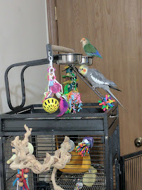 Pawsome Pet Supplies & Grooming - Photo 8 - Car repair in Miamisburg, OH, Dayton