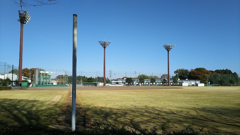 ひばりが丘公園