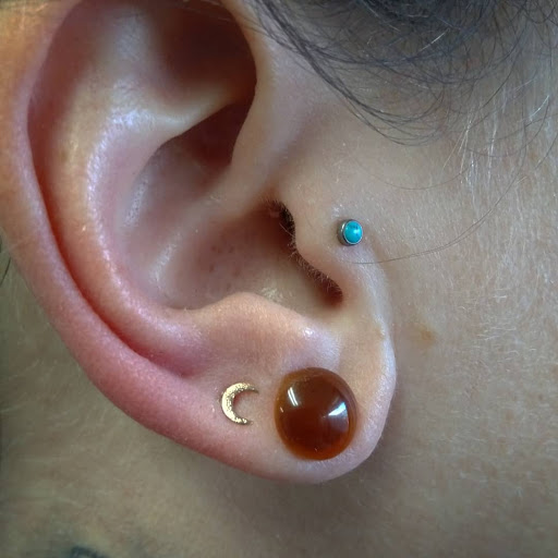 Explore shoulder cover up tattoo ideas, creative tattoo ideas in Vancouver, available at Chaotic Good Body Piercing & Tattoo