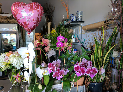 Florist «Mille Fleurs», reviews and photos, 5580 NE 4th Ct, Miami, FL 33137, USA