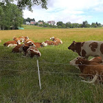 Photo n°1 de l'avis de David. fait le 08/09/2023 à 06:03 sur le  IFA Schöneck Hotel & Ferienpark à Schöneck