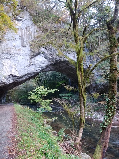 雄橋