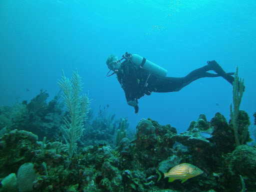 Anchor Bay Scuba Inc., 8655 Dixie Hwy, Fair Haven, MI 48023, USA, 