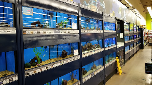 Fish stores Detroit