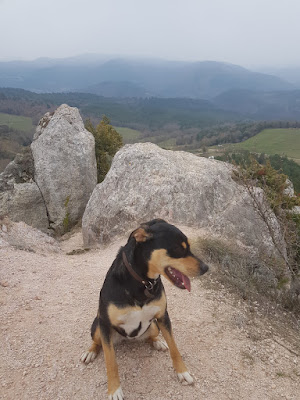 Gooskens Jacqueline à Rennes-le-Château