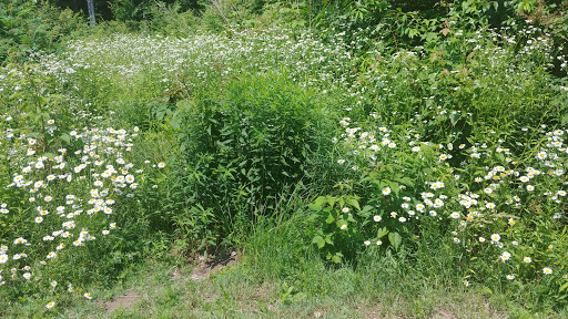 Country Club «Heritage Country Club», reviews and photos, 85 Sampson Rd, Charlton, MA 01507, USA