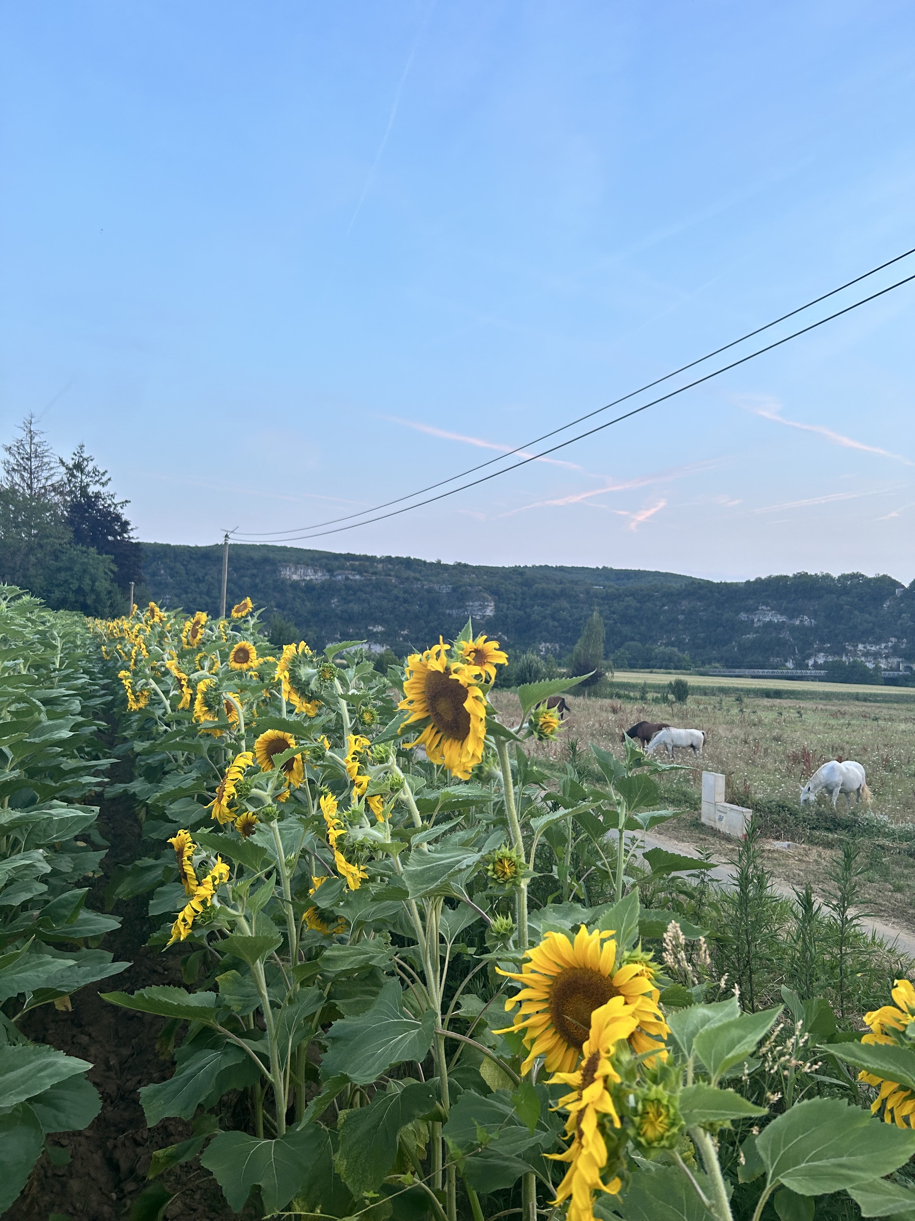 Photo n° 16 de l'avis de Beth.a fait le 12/09/2023 à 15:42
