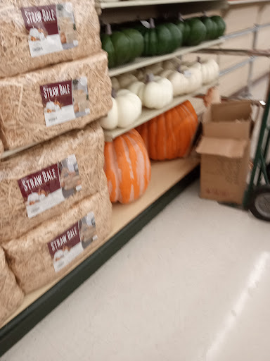 Craft Store «Hobby Lobby», reviews and photos, 4236 US-98, Lakeland, FL 33809, USA