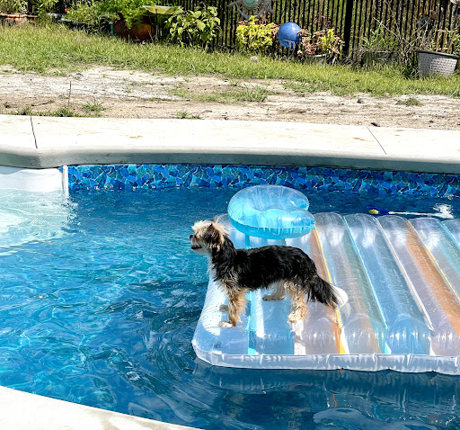 Swimming Pool Contractor «Heritage Pools LLC», reviews and photos