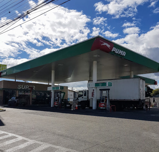 South Puma gas station
