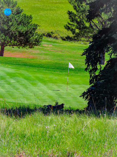 Golf Club «Shining Mountain Golf Course & Event Center», reviews and photos, 100 Shining Mountain Ln, Woodland Park, CO 80863, USA
