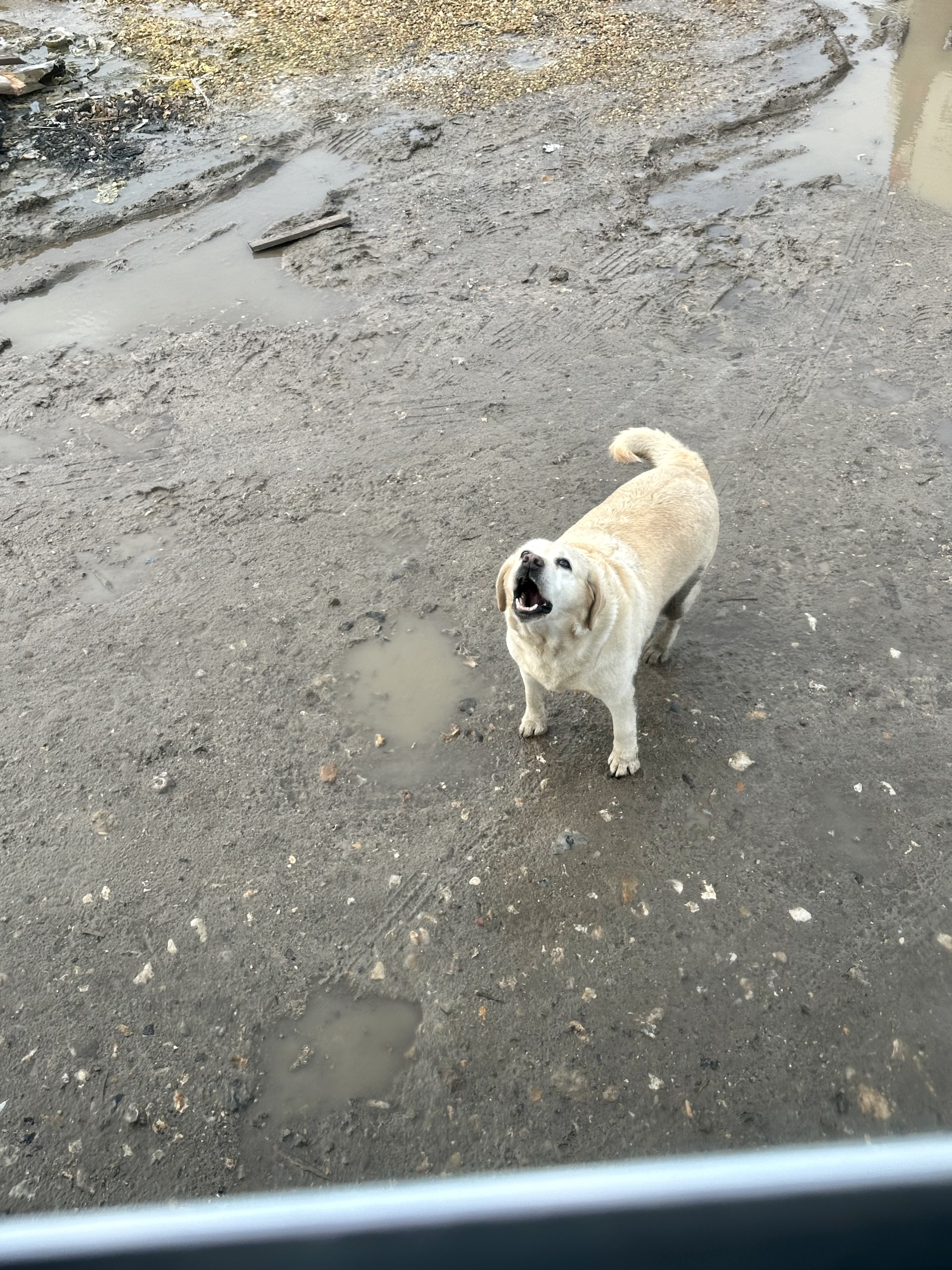 Photo n° 4 de l'avis de Orkiskara. fait le 15/03/2024 à 15:47