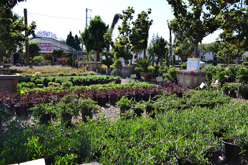 Plant nursery Rancho Cucamonga