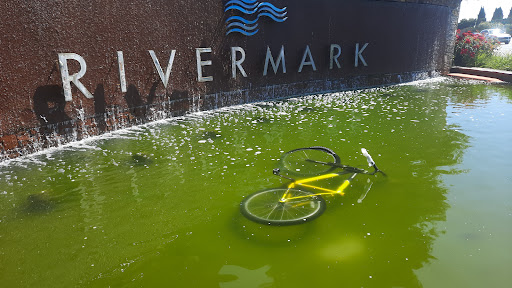 Shopping Mall «Rivermark Village», reviews and photos, 3945 Rivermark Plaza, Santa Clara, CA 95054, USA