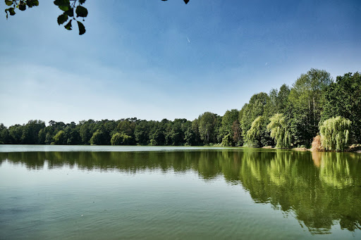 Bordenauer See