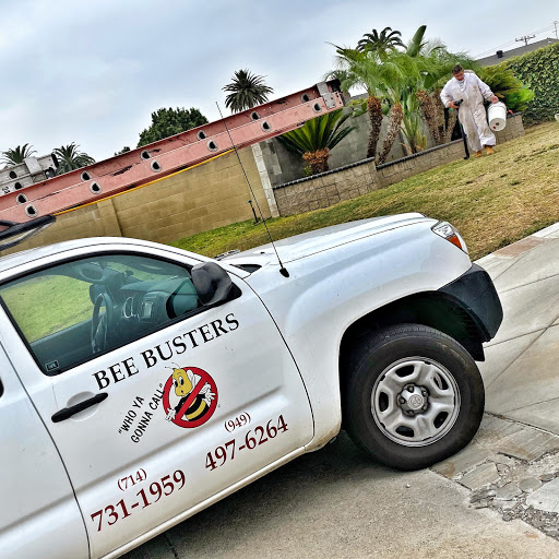 Bee Busters - Orange County Bee Removal Service image