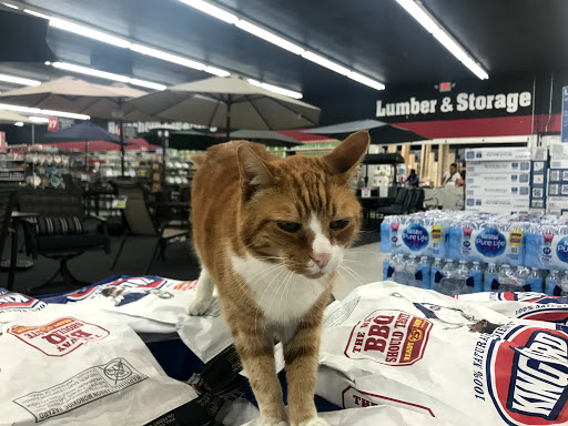 Hardware Store «Do it Center», reviews and photos, 3775 Thousand Oaks Blvd, Westlake Village, CA 91362, USA