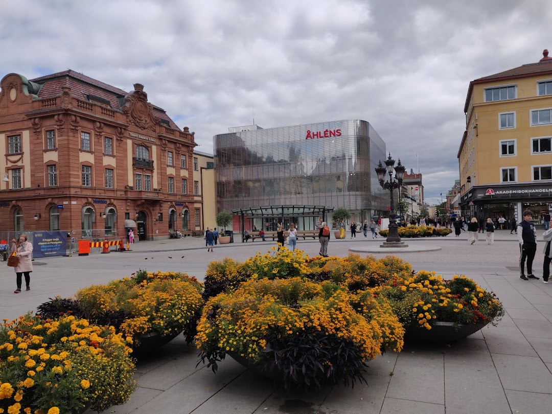 Uppsala, İsveç