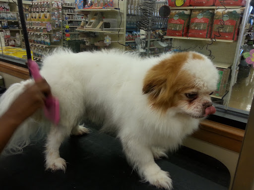 Pet Supply Store «Pet Supplies Plus», reviews and photos, 50633 Gratiot Ave, Chesterfield, MI 48051, USA