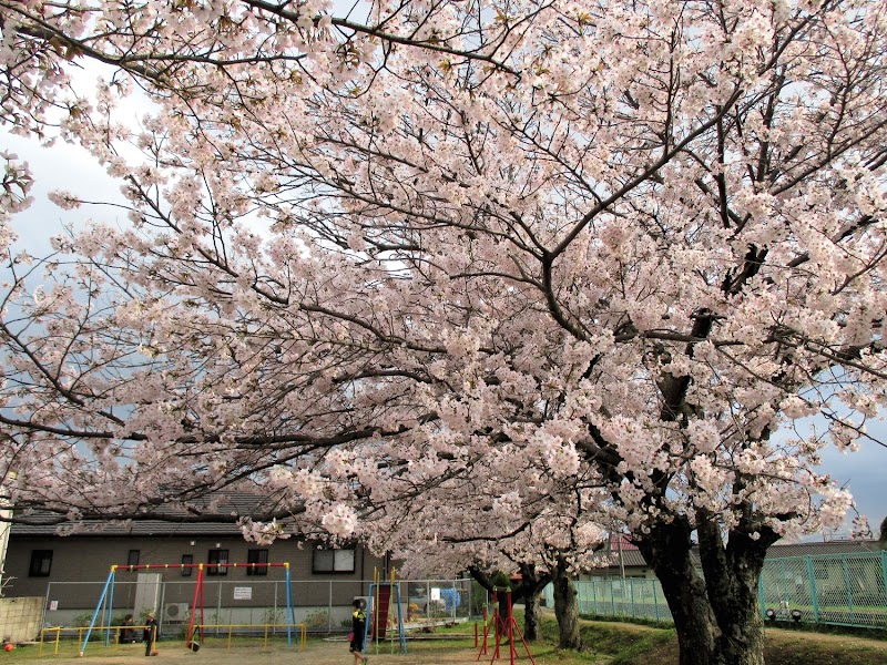 五軒家公園