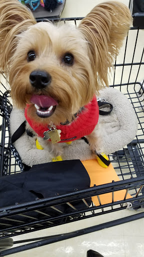 Pet Supply Store «Petco Animal Supplies», reviews and photos, 1 US-46, Totowa, NJ 07512, USA