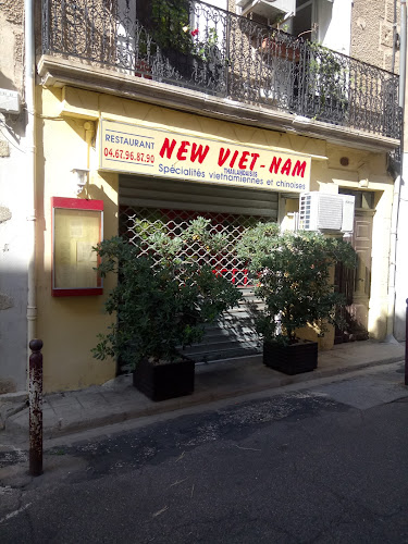 restaurants New Vietnam - Vietnamien Chinois Thaïlandais Clermont-l'Hérault