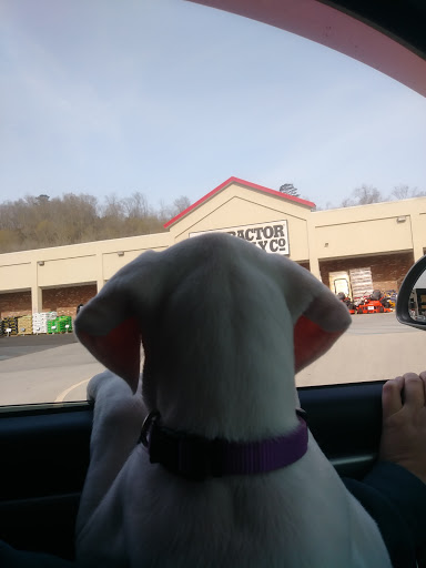 Home Improvement Store «Tractor Supply Co.», reviews and photos, 1608 2nd Ave E, Oneonta, AL 35121, USA