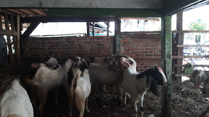 Jual kambing dan sapi khusus AQIQAH DAN QURBAN.