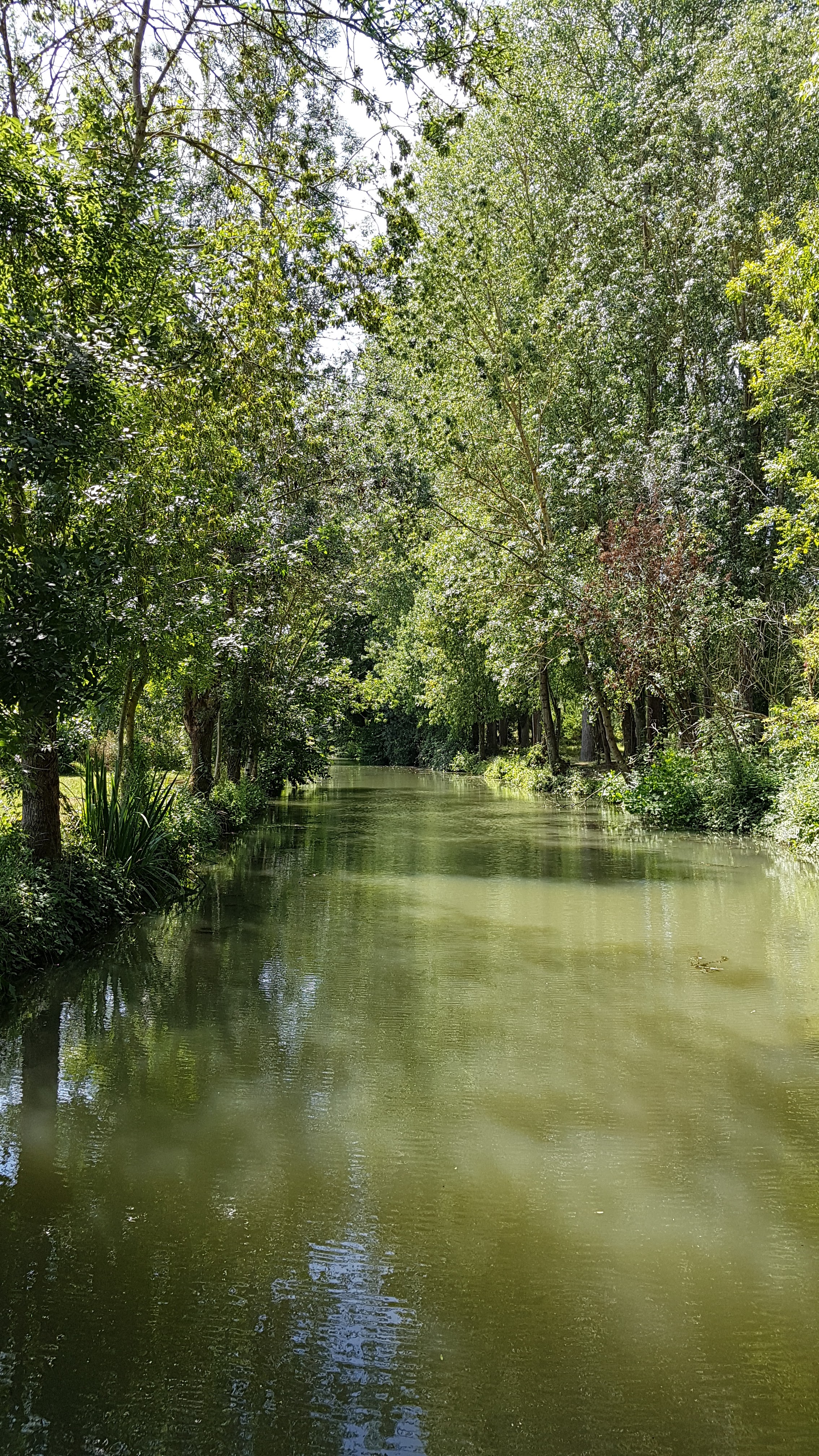 Photo n° 1 de l'avis de Grégory.i fait le 04/09/2019 à 22:15