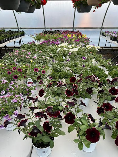 Florist «TG Designs», reviews and photos, 19231 Longmeadow Rd, Hagerstown, MD 21742, USA