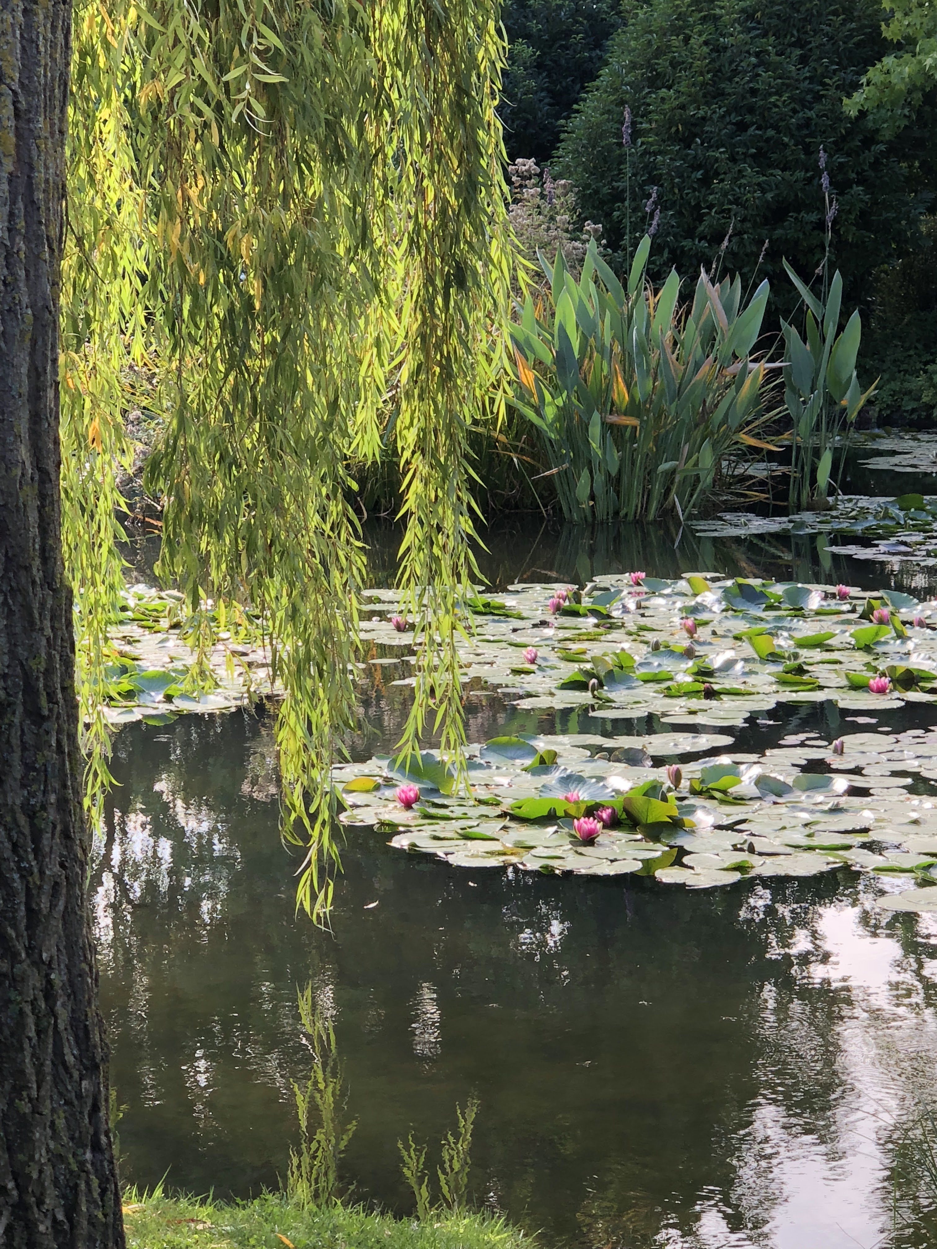 Photo n° 6 de l'avis de Igor.a fait le 25/10/2018 à 12:29