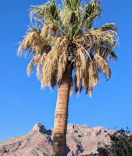 Country Club «Coronado Country Club», reviews and photos, 1044 Broadmoor Dr, El Paso, TX 79912, USA