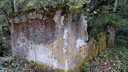 Tourist Attraction «Melmont ghost town», reviews and photos, Carbon River Rd, Carbonado, WA 98323, USA