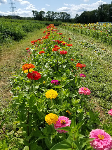 Orchard «Riamede Farm», reviews and photos, 122 Oakdale Rd, Chester, NJ 07930, USA