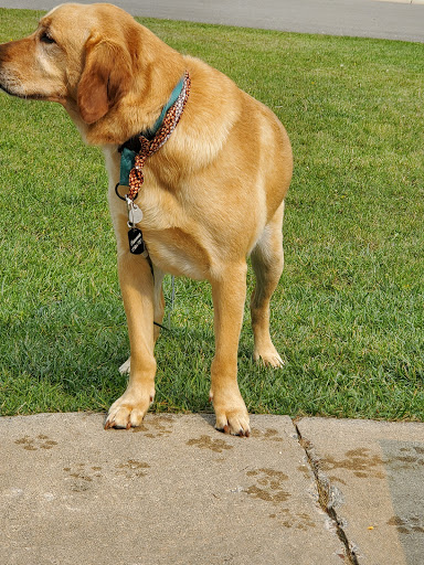 Pet Supply Store «Pet Supplies Plus», reviews and photos, 585 Moseley Rd, Fairport, NY 14450, USA