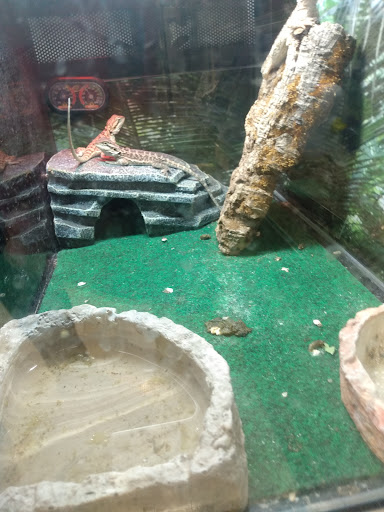 Pet Supply Store «Pet Supplies Plus», reviews and photos, 2155 Delaware Ave, Buffalo, NY 14216, USA