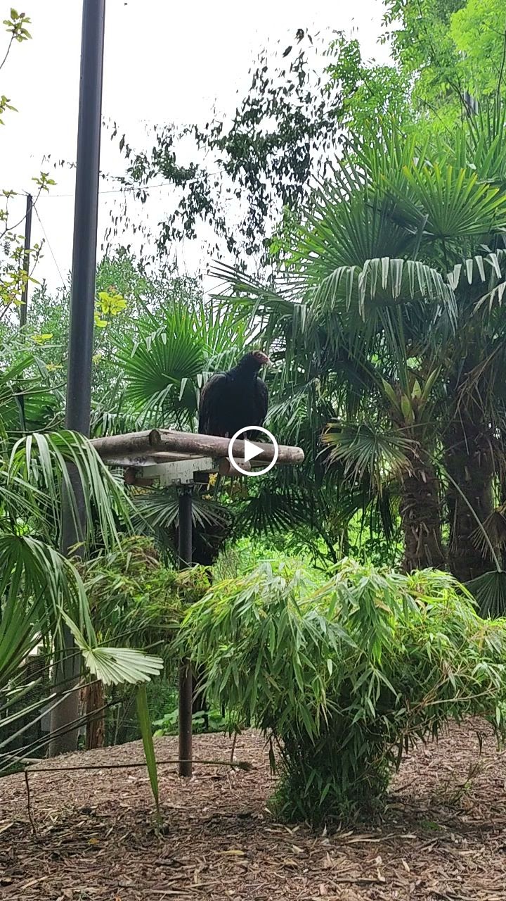 Photo n° 12 de l'avis de Romin. fait le 24/05/2023 à 12:29