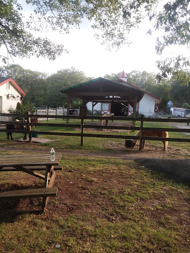 State Park «Lincoln Woods State Park», reviews and photos, 2 Manchester Print Works Rd, Lincoln, RI 02865, USA