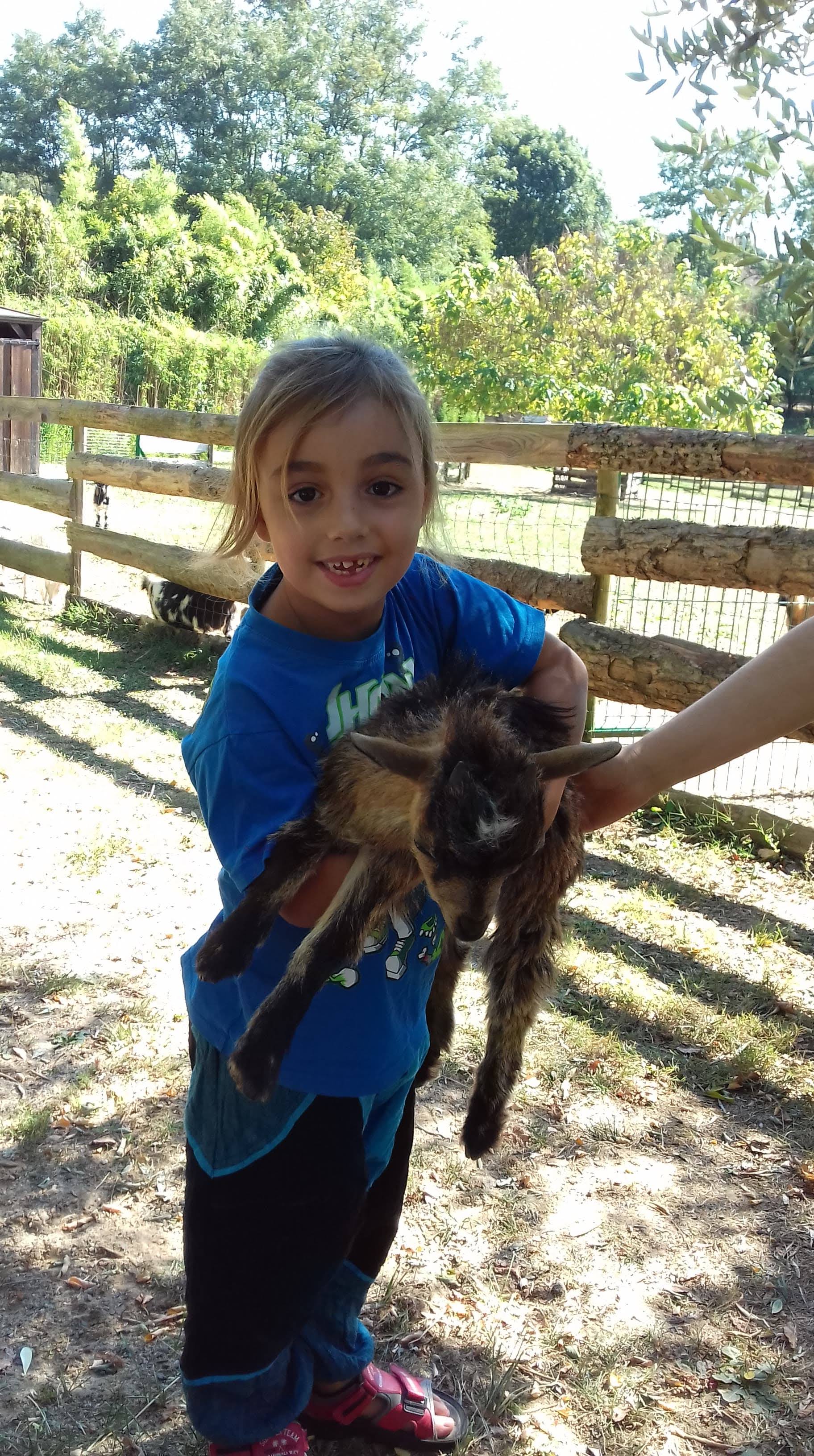 Photo n° 4 de l'avis de lusignan.n fait le 26/10/2018 à 04:59