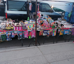 segundas del safari photo