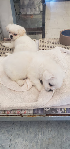 Pet Store «National Pet Center», reviews and photos, 726 Reservoir Ave, Cranston, RI 02910, USA