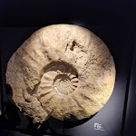 Photo n°5 de l'avis de Matthes. fait le 14/07/2022 à 10:10 sur le  Aquarium Wilhelmshaven incl. Prehistoric Sea Museum à Wilhelmshaven