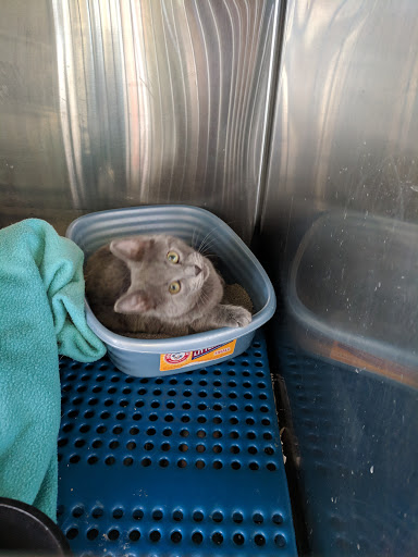 Pet Supply Store «Petsense Fort Worth», reviews and photos, 1408 Eastchase Pkwy #100, Fort Worth, TX 76120, USA