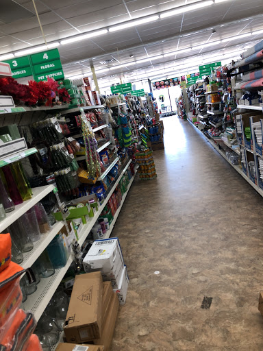 Dollar Store «Dollar Tree», reviews and photos, 7041 Brookfield Plaza, Springfield, VA 22150, USA