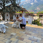 Photo n°6 de l'avis de Andrea.a fait le 19/08/2020 à 07:13 sur le  Weingarten Terlan - Rooms & Breakfast à Terlan