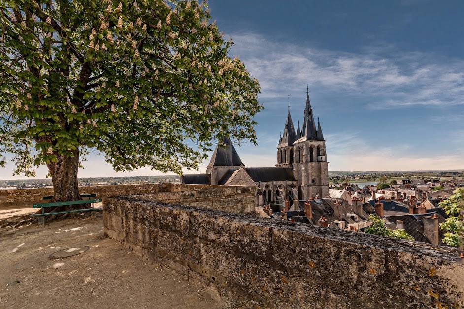 Agence Investim immobilier Blois à Blois