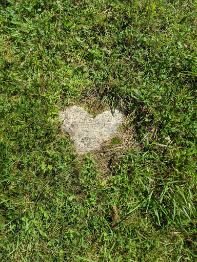 Nature Preserve «Teetertown Ravine Nature Preserve», reviews and photos, 30 Pleasant Grove Rd, Port Murray, NJ 07865, USA