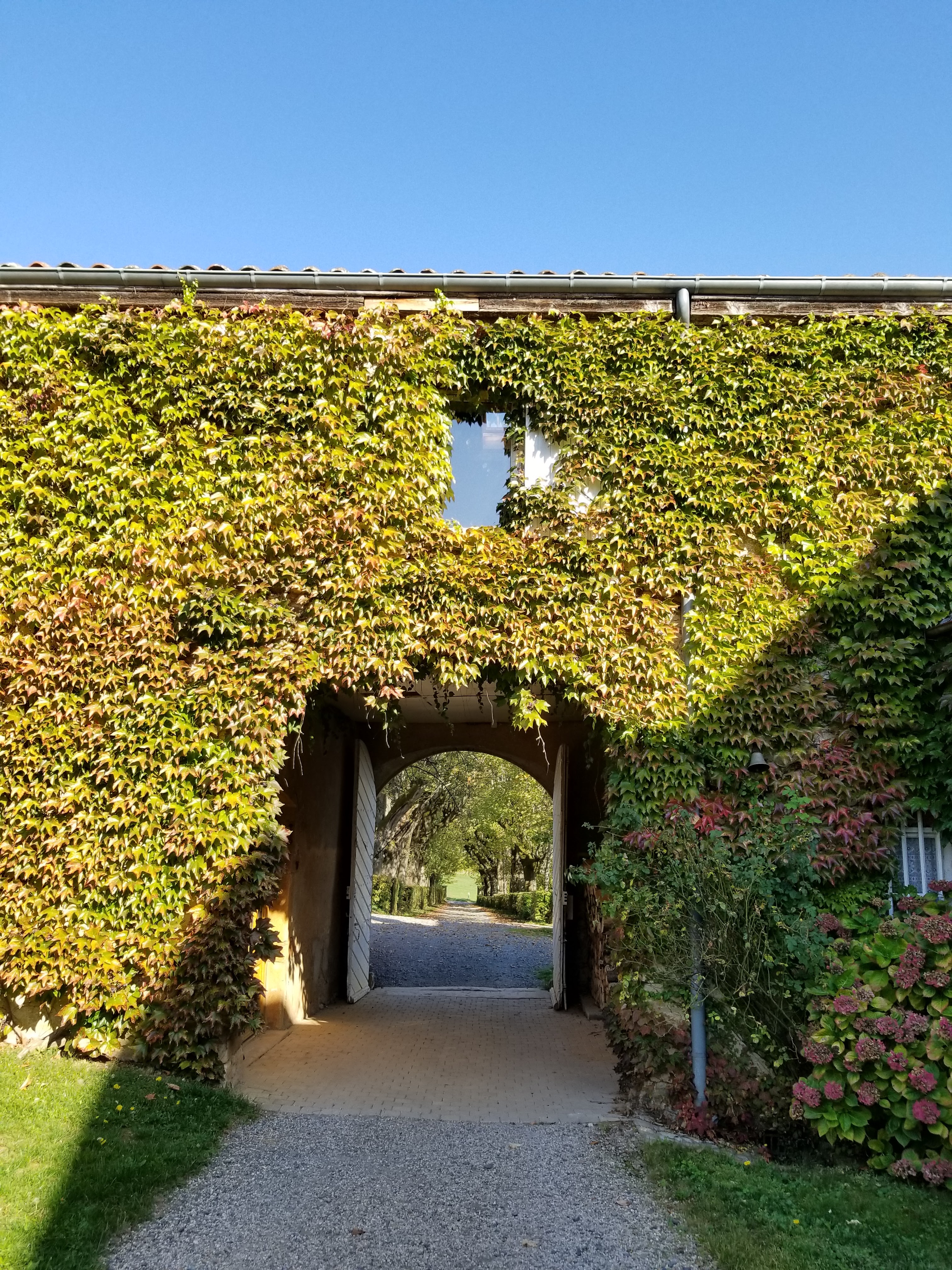 Photo n° 1 de l'avis de Enrique.e fait le 16/10/2017 à 09:34