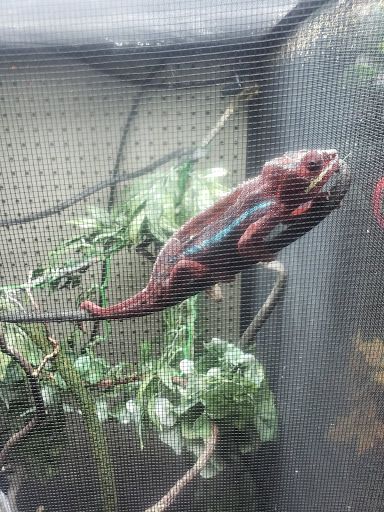 Pet Store «Valley Pets», reviews and photos, 6380 US-85, Fountain, CO 80817, USA